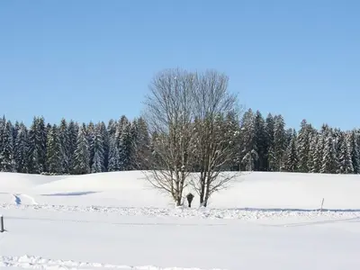 Ferienwohnung für 2 Personen (34 m²) in Görisried 9/10