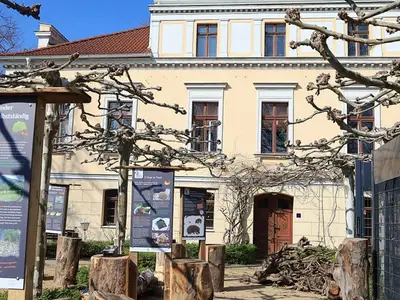 Ferienwohnung für 6 Personen (69 m²) in Görlitz 1/10