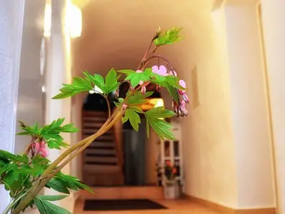 Ferienwohnung für 3 Personen (50 m²) in Görlitz 2/10