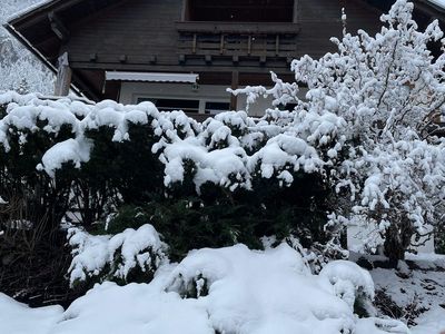 verschneiter Garten