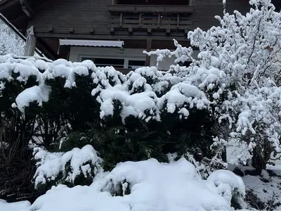 Ferienwohnung für 4 Personen (76 m²) in Görtschach 2/10