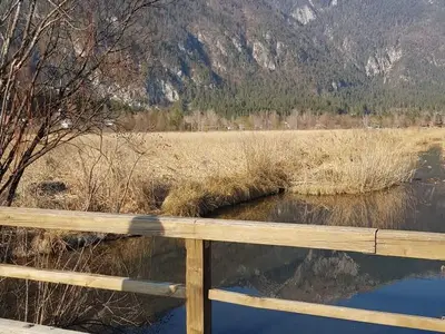 Ferienwohnung für 4 Personen (76 m²) in Görtschach 5/10