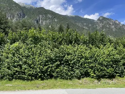 Ferienwohnung für 4 Personen (76 m²) in Görtschach 9/10