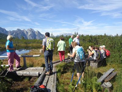 Löckermoos Gosau Wandern