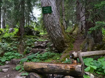 Brunnen am Weg zur Zwieselalm