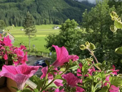 Ausblick vom Dachstein 7