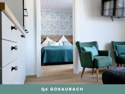 Q6 Gosaubach