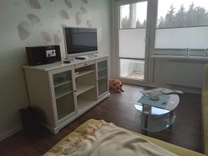 23590474-Ferienwohnung-2-Goslar-300x225-2