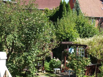 Blick auf den Garten