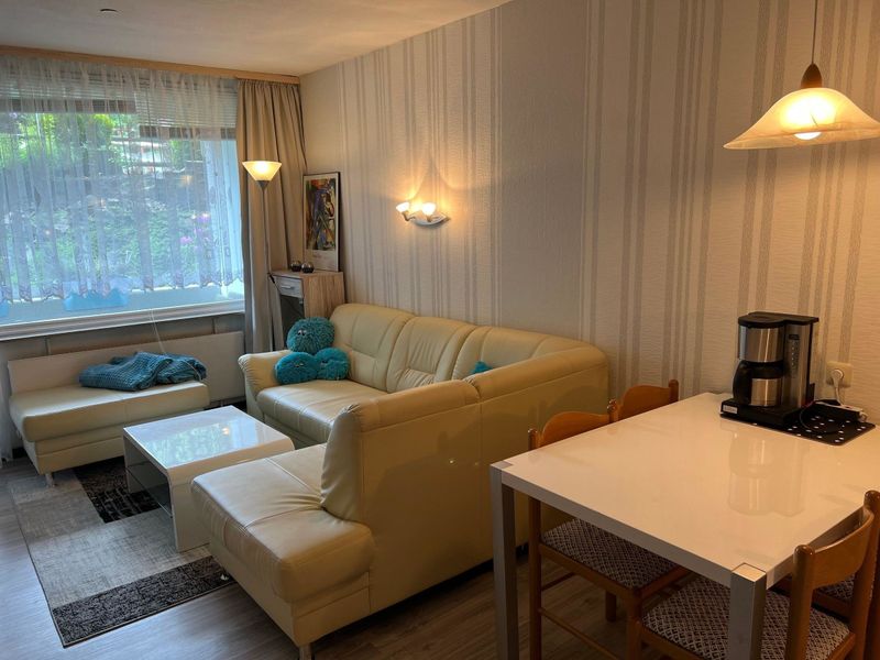 23938696-Ferienwohnung-2-Goslar-800x600-1