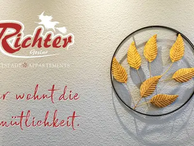 Ferienwohnung für 6 Personen (65 m²) in Goslar 7/10