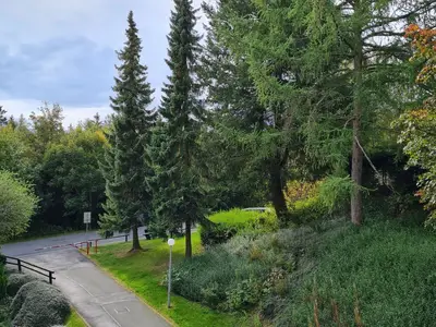 Ferienwohnung für 4 Personen (40 m²) in Goslar 4/10