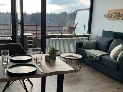 Ferienwohnung für 3 Personen (34 m²) in Goslar 4/10