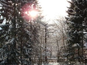 Blick in den Garten