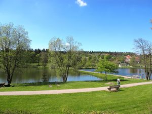 23846437-Ferienwohnung-4-Goslar-Hahnenklee-300x225-2