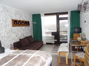 23064891-Ferienwohnung-3-Goslar-Hahnenklee-300x225-5