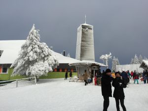 23921002-Ferienwohnung-2-Goslar-Hahnenklee-300x225-1