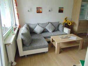 23884430-Ferienwohnung-2-Goslar-Hahnenklee-300x225-2