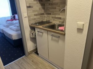 23885830-Ferienwohnung-3-Goslar-Hahnenklee-300x225-4