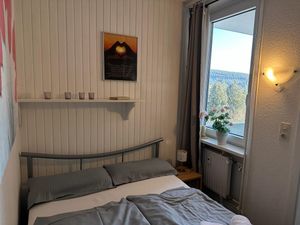 23886106-Ferienwohnung-4-Goslar-Hahnenklee-300x225-4