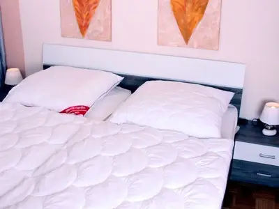 Ferienwohnung für 4 Personen (50 m²) in Goslar-Hahnenklee 5/10