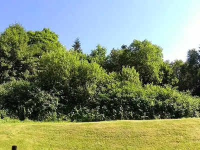Ferienwohnung für 2 Personen (42 m²) in Hahnerklee 10/10