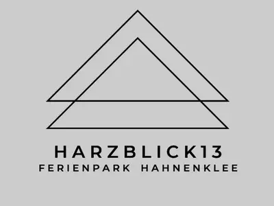 Ferienwohnung für 4 Personen (40 m²) in Goslar-Hahnenklee 10/10