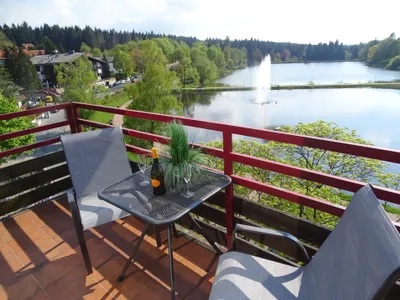Ferienwohnung für 2 Personen (32 m²) in Goslar-Hahnenklee 1/10