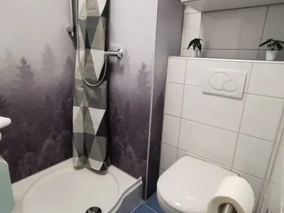 Ferienwohnung für 4 Personen (38 m²) in Goslar-Hahnenklee 4/10
