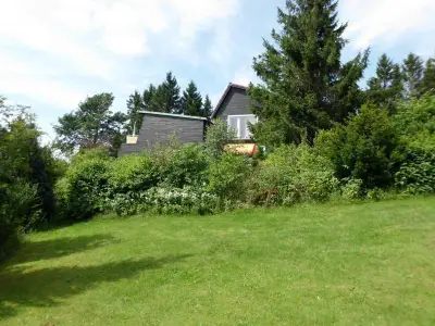 Garten. Spiel- und Liegewiese