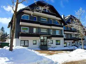 Ferienwohnung für 3 Personen (54 m²) in Goslar-Hahnenklee