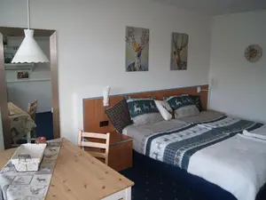 Ferienwohnung für 2 Personen (28 m²) in Goslar-Hahnenklee