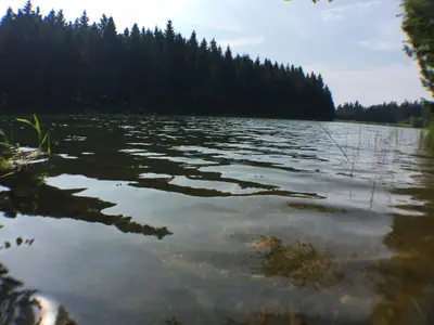Landschaft