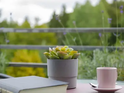 Balkon mit Blick zum Bocksberg