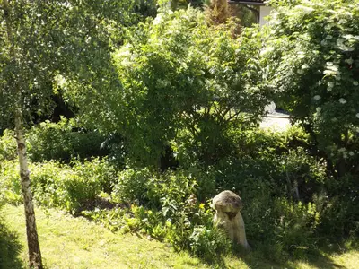 Gartenblick