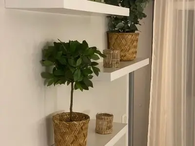 Wandregal Wohnzimmer