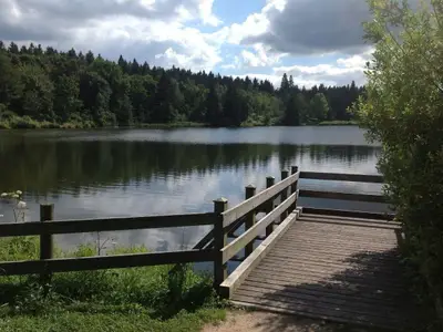 Ferienwohnung für 4 Personen (50 m²) in Goslar-Hahnenklee 8/10