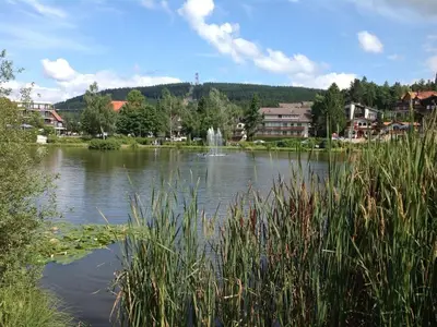 Ferienwohnung für 4 Personen (50 m²) in Goslar-Hahnenklee 9/10
