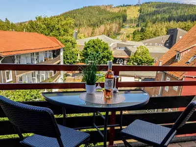 Ferienwohnung für 2 Personen (30 m²) in Goslar-Hahnenklee 1/10