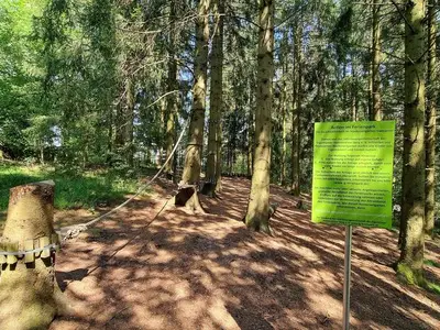 Ferienwohnung für 4 Personen (59 m²) in Goslar-Hahnenklee 3/10