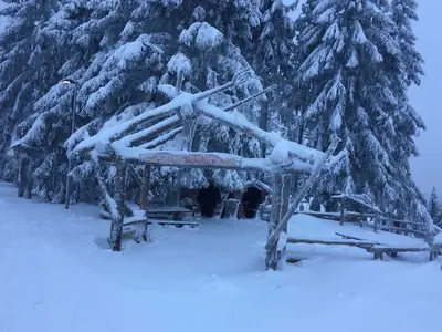 Ferienwohnung für 4 Personen (90 m²) in Goslar-Hahnenklee 9/10