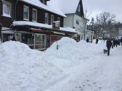 Ferienwohnung für 4 Personen (90 m²) in Goslar-Hahnenklee 8/10