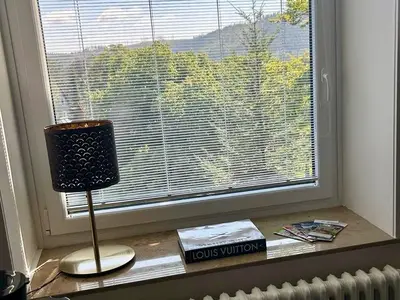 Ferienwohnung für 2 Personen in Goslar-Hahnenklee 2/9