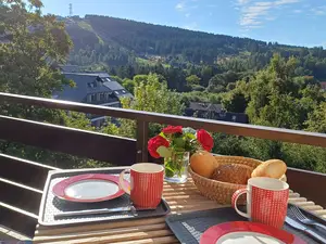 Ferienwohnung für 3 Personen (43 m²) in Goslar-Hahnenklee