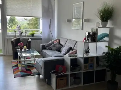 Ferienwohnung für 4 Personen (48 m²) in Goslar-Hahnenklee 2/10