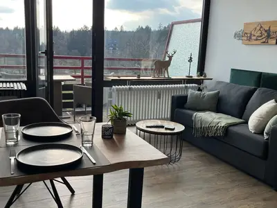 Ferienwohnung für 3 Personen (33 m²) in Goslar-Hahnenklee 2/10