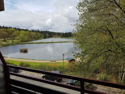 Ferienwohnung für 3 Personen (30 m²) in Goslar-Hahnenklee 7/10
