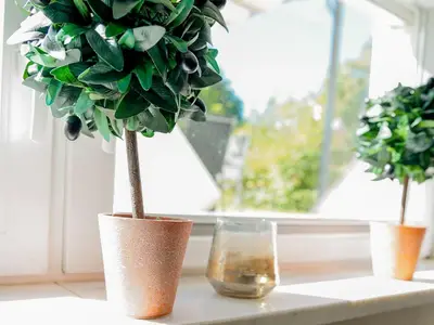 Ferienwohnung für 8 Personen (130 m²) in Goslar-Hahnenklee 10/10