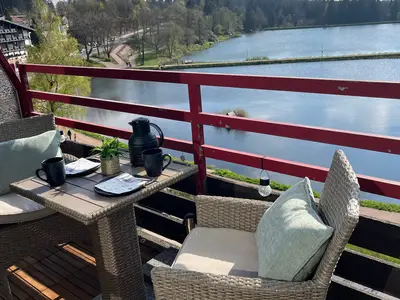 Ferienwohnung für 3 Personen (33 m²) in Goslar-Hahnenklee 1/10