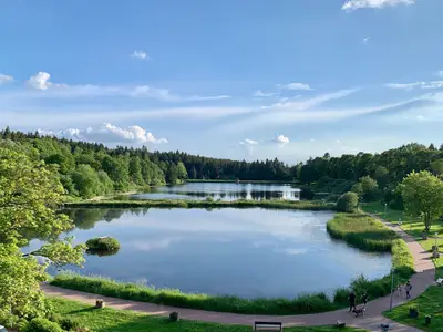 Ferienwohnung für 3 Personen (32 m²) in Goslar-Hahnenklee 1/10